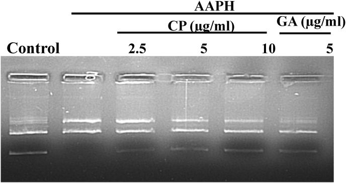 Fig. 3