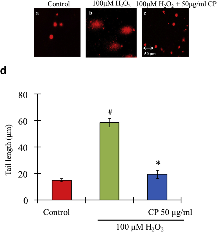 Fig. 9