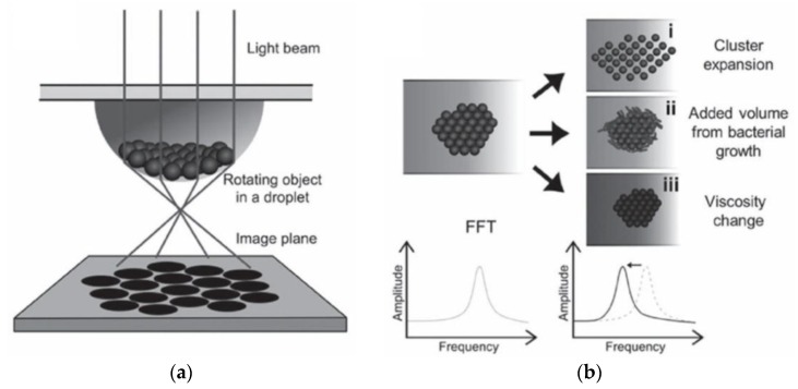 Figure 12