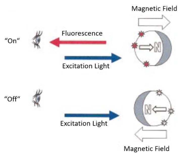 Figure 17