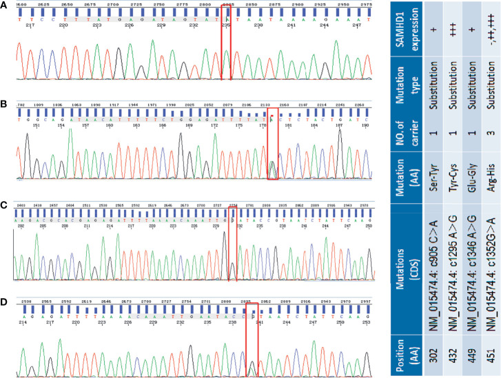 Figure 2