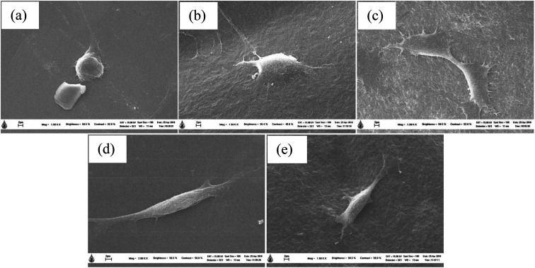 Fig. 10