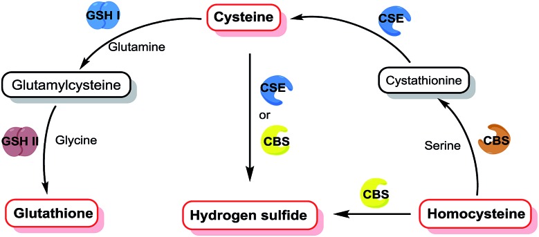 Fig. 1