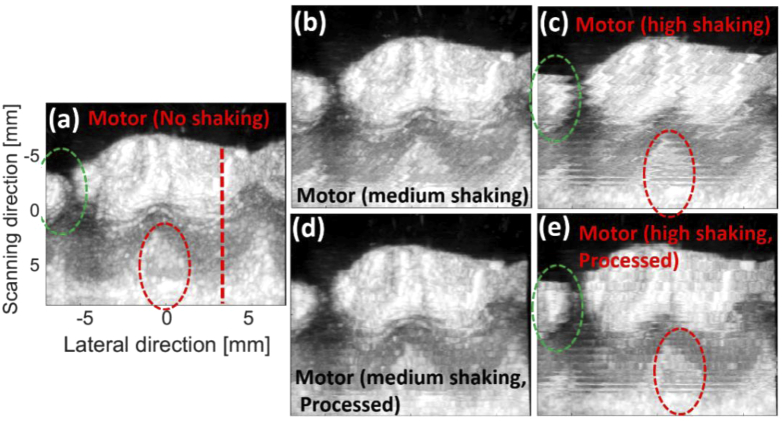 Fig. 8.