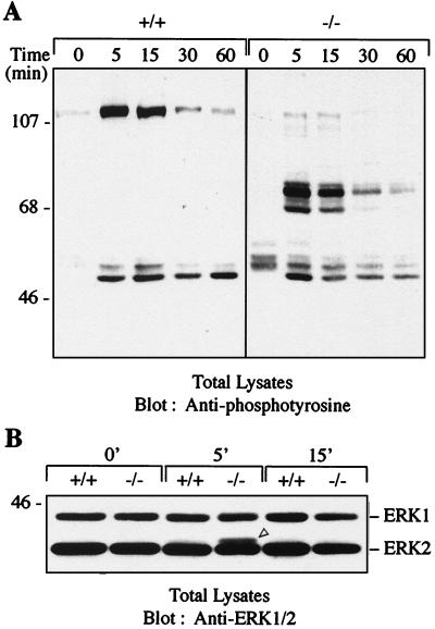 FIG. 8