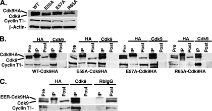 FIG. 6.