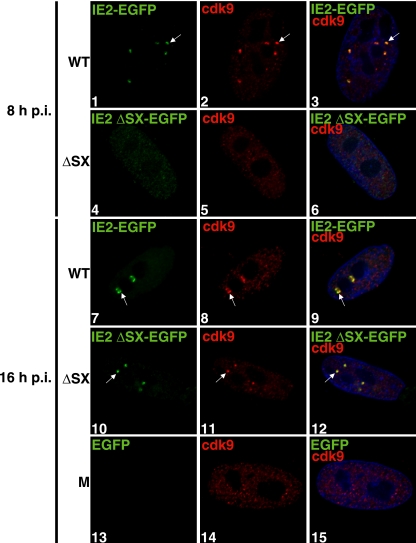 FIG. 3.