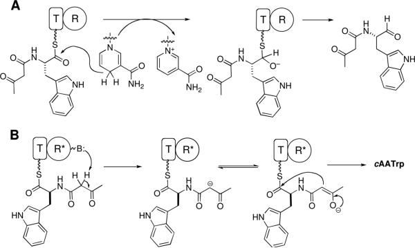 Scheme 2