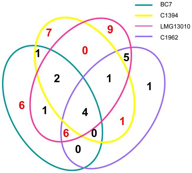 Figure 5