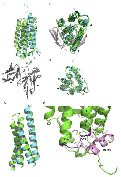 Extended Data Figure 2