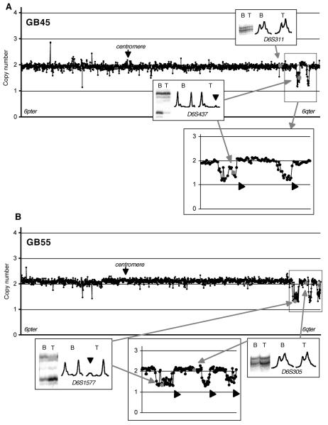 Figure. 2