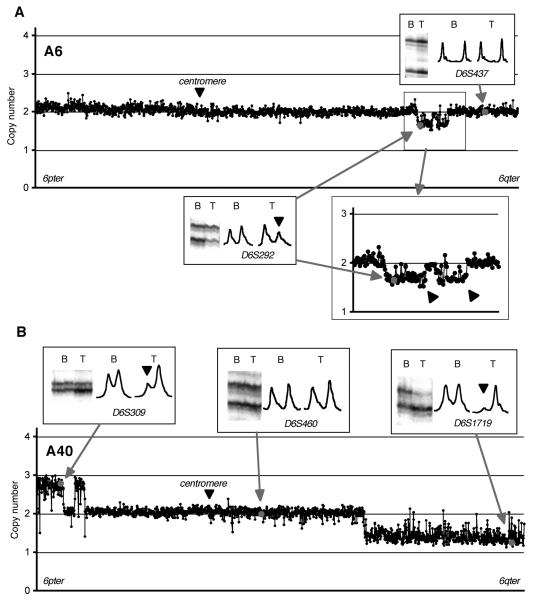 Figure. 3