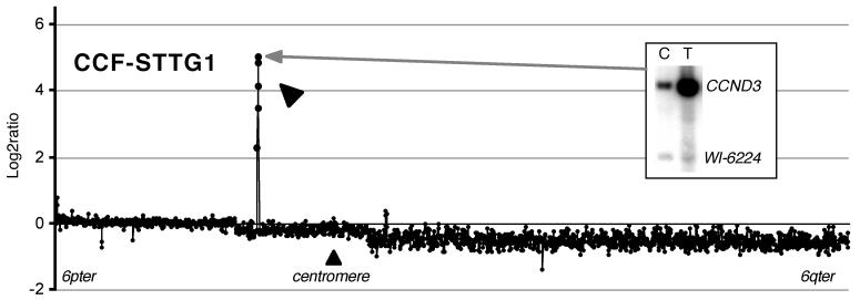 Figure. 5