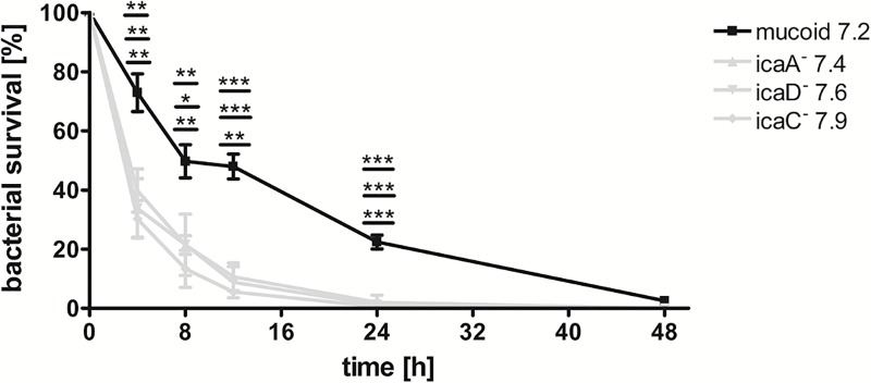 Fig 10