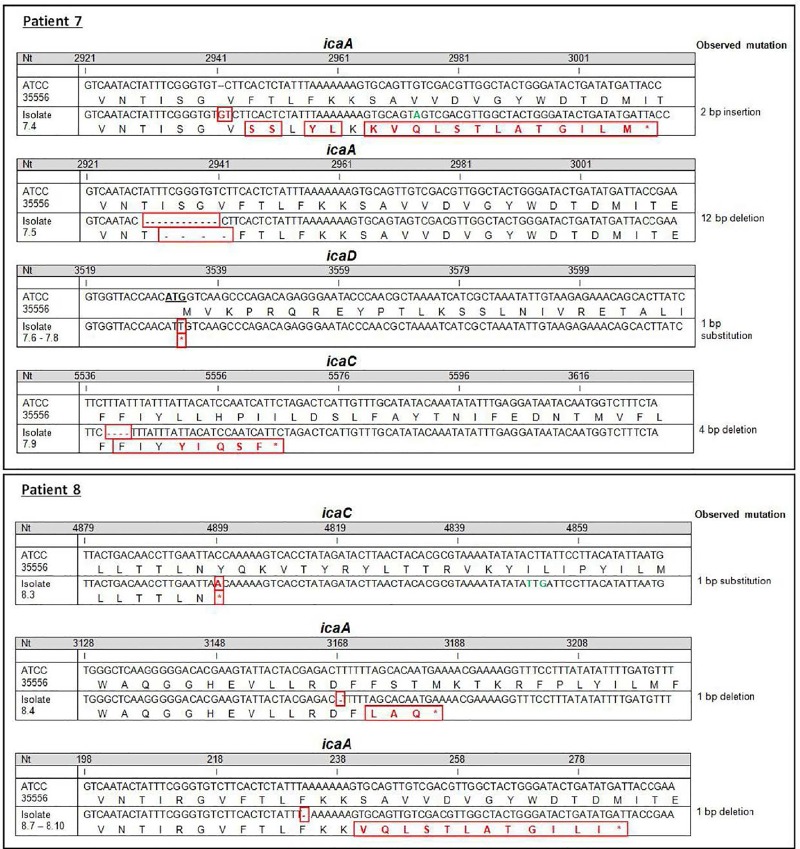 Fig 6