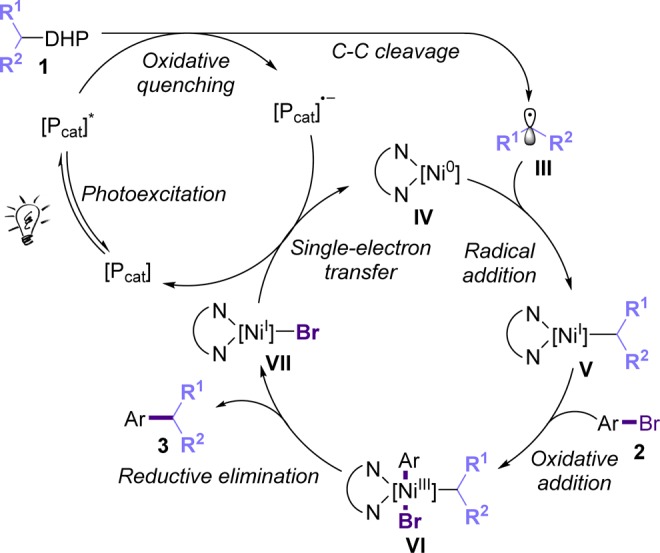 Scheme 2