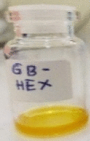 graphic file with name 41598_2023_41494_Figa_HTML.gif