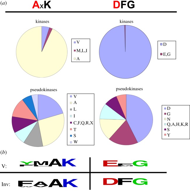 Figure 3.