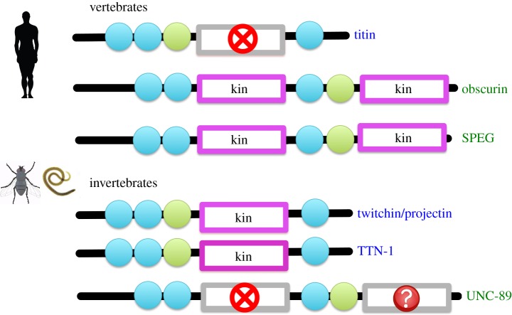 Figure 6.