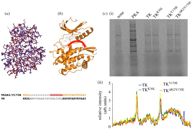 Figure 2.