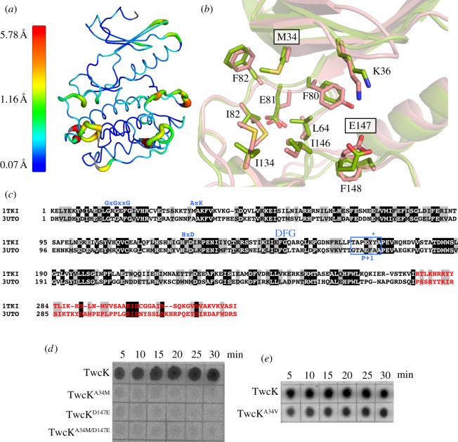 Figure 4.