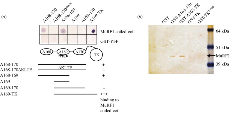 Figure 5.