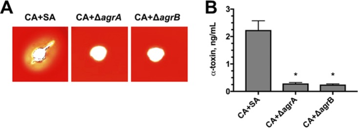 FIG 2