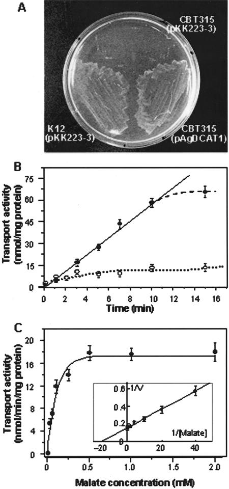 Figure 6.