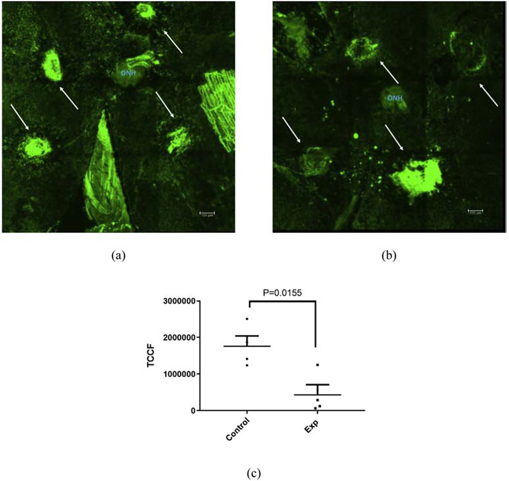 Figure 5: