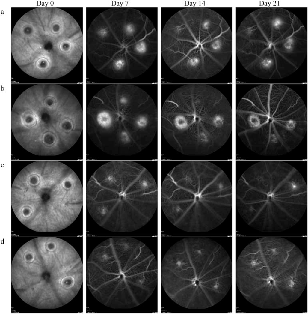 Figure 2: