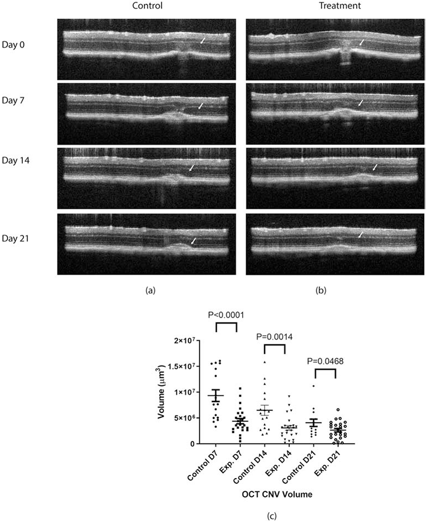 Figure 4: