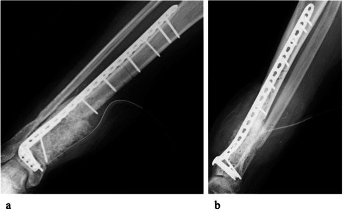 Fig. 7