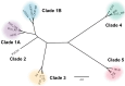 Fig 1