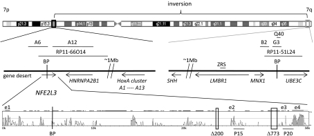 Fig. 2