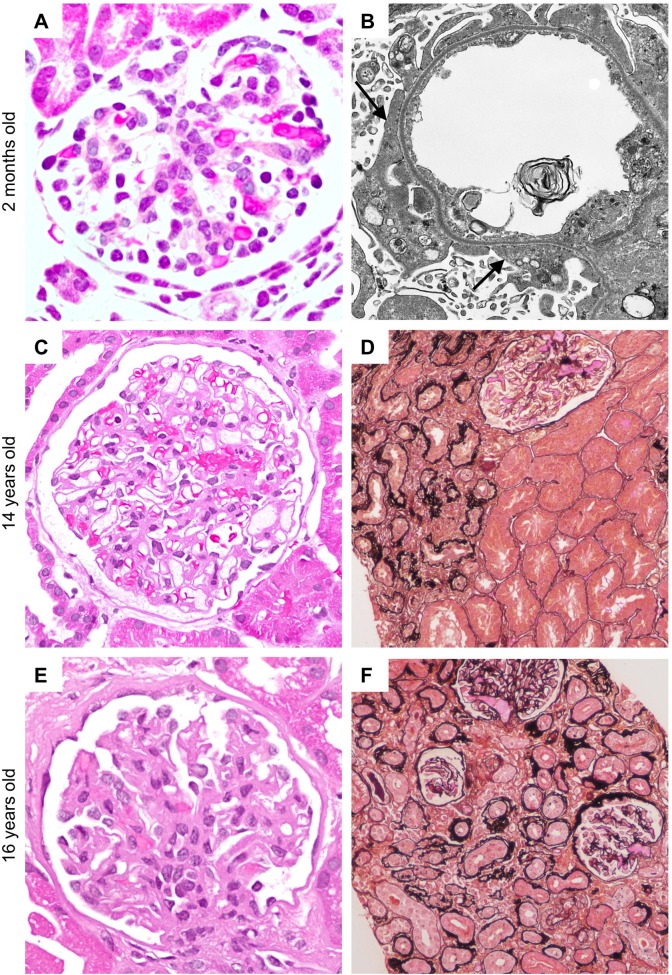 Fig 1