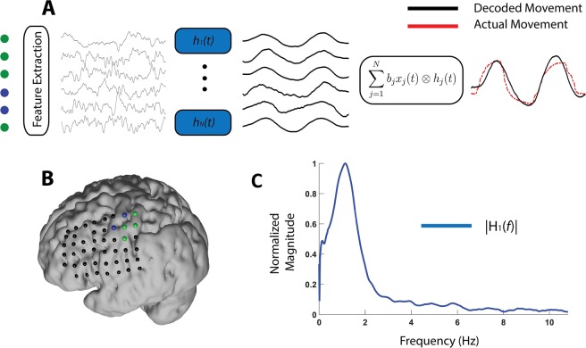 Using Coherence-based spectro-spatial filters for stimulus features ...