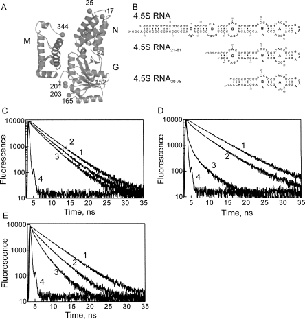 FIGURE 1.