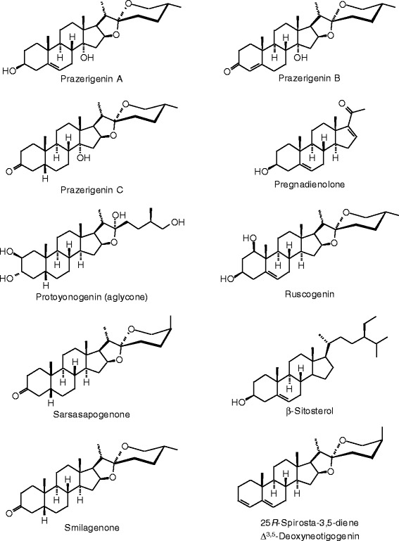 Figure 32