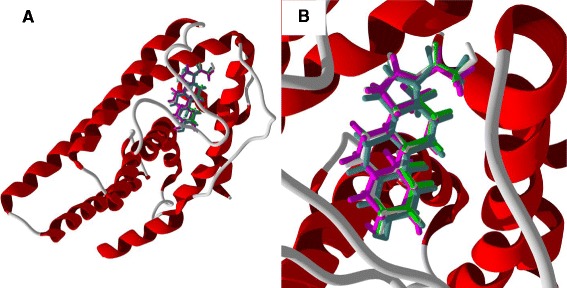 Figure 48