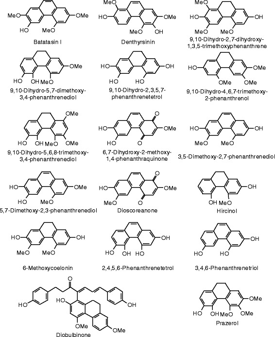 Figure 22