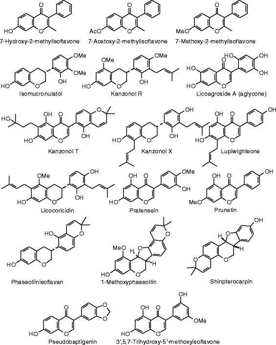 Figure 19