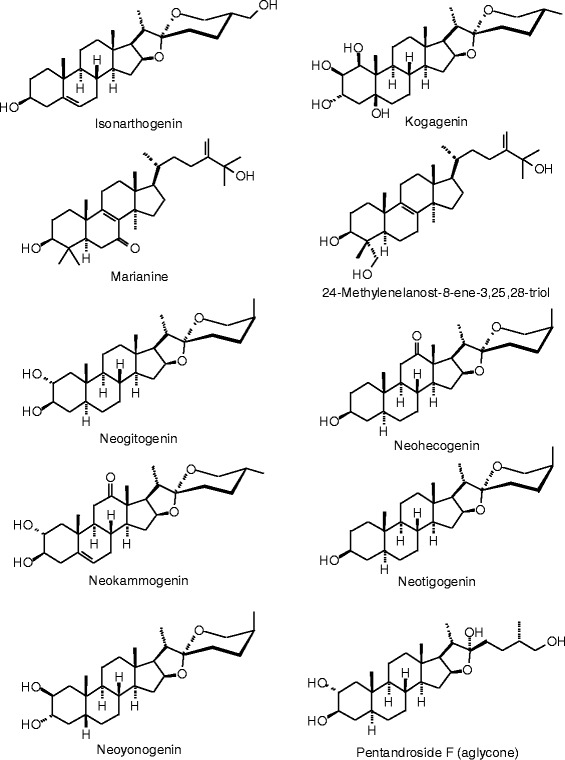 Figure 31