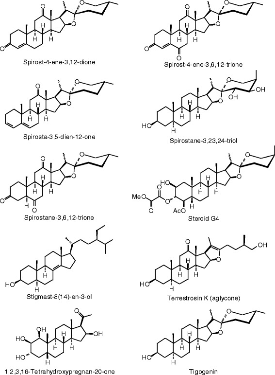 Figure 33