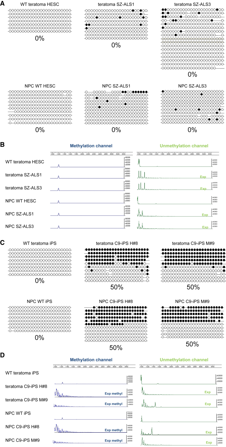 Figure 4