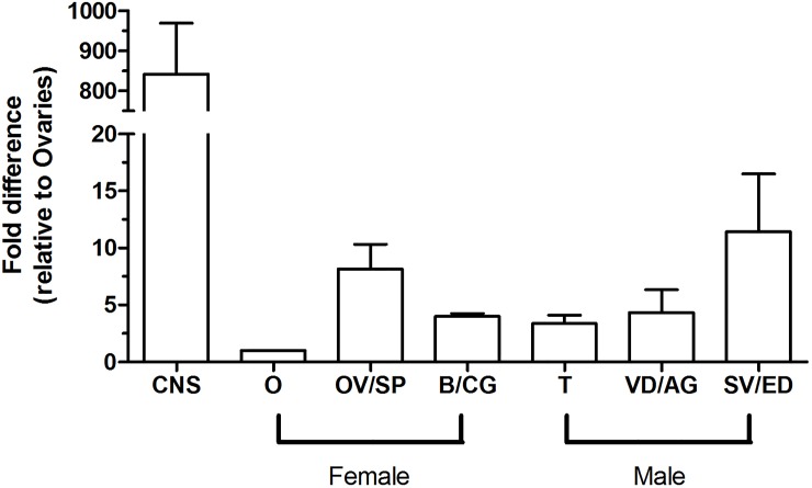 Fig 6