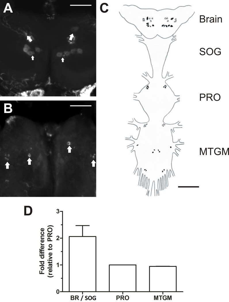 Fig 8