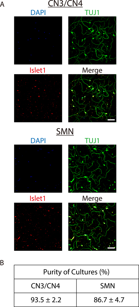 Figure 5: