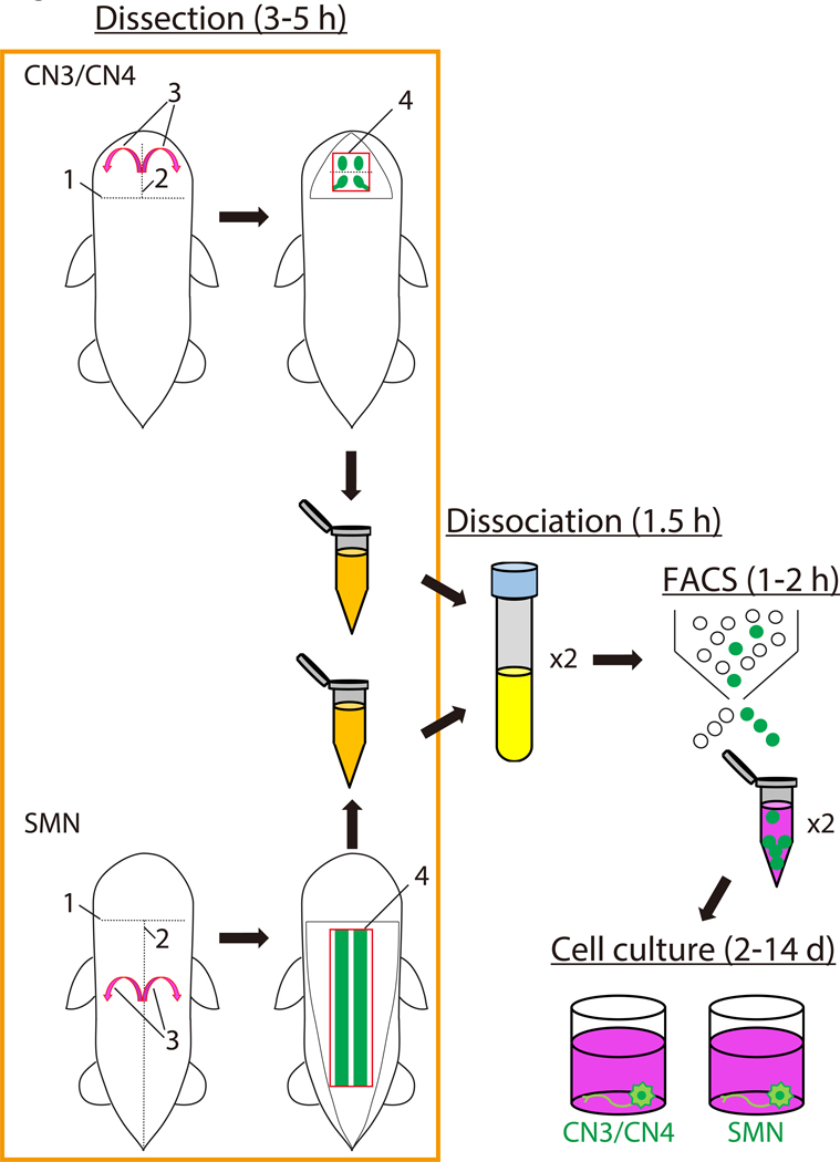 Figure 1: