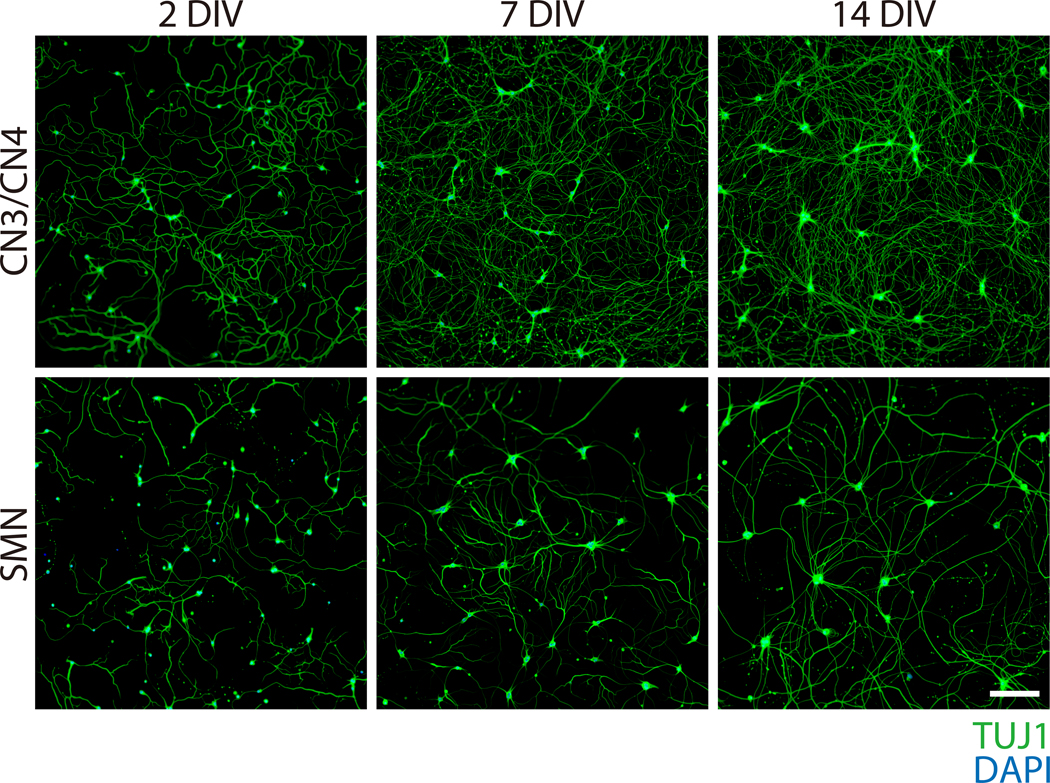 Figure 6: