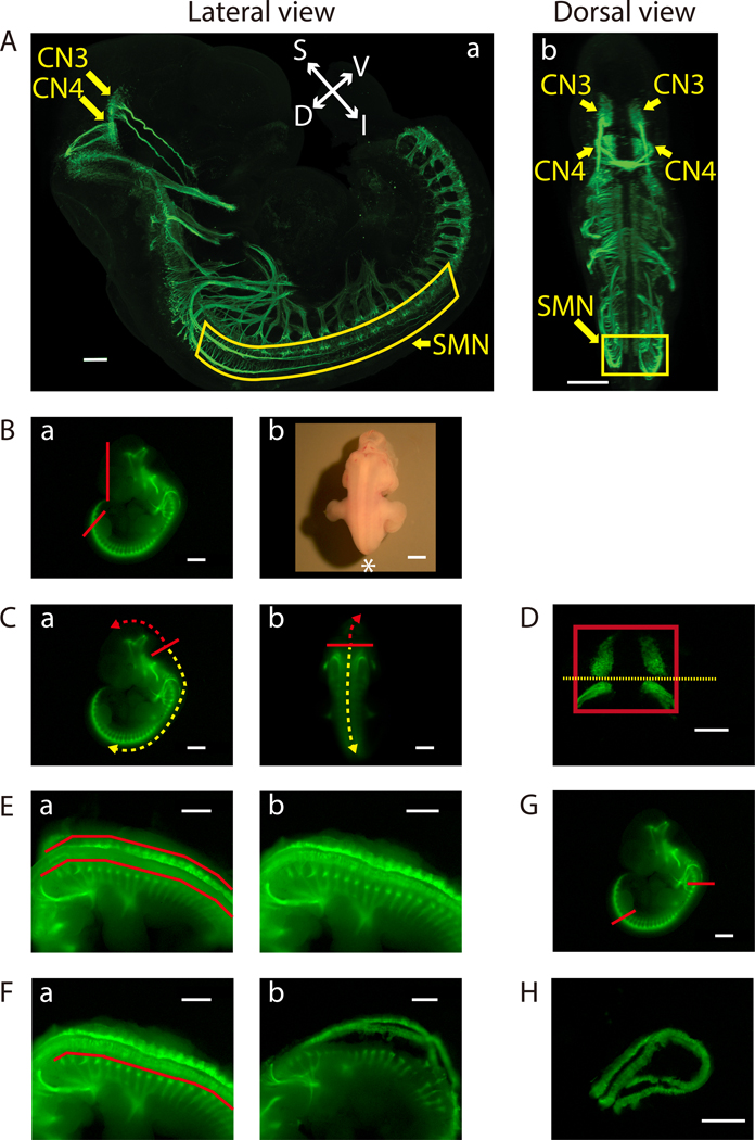 Figure 2: